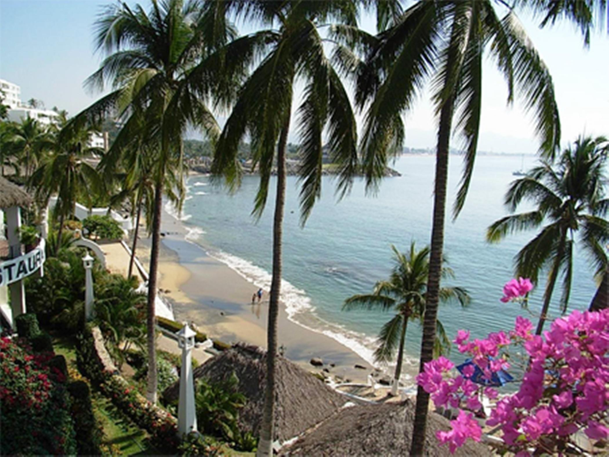 Dolphin Cove Inn Manzanillo Exterior photo