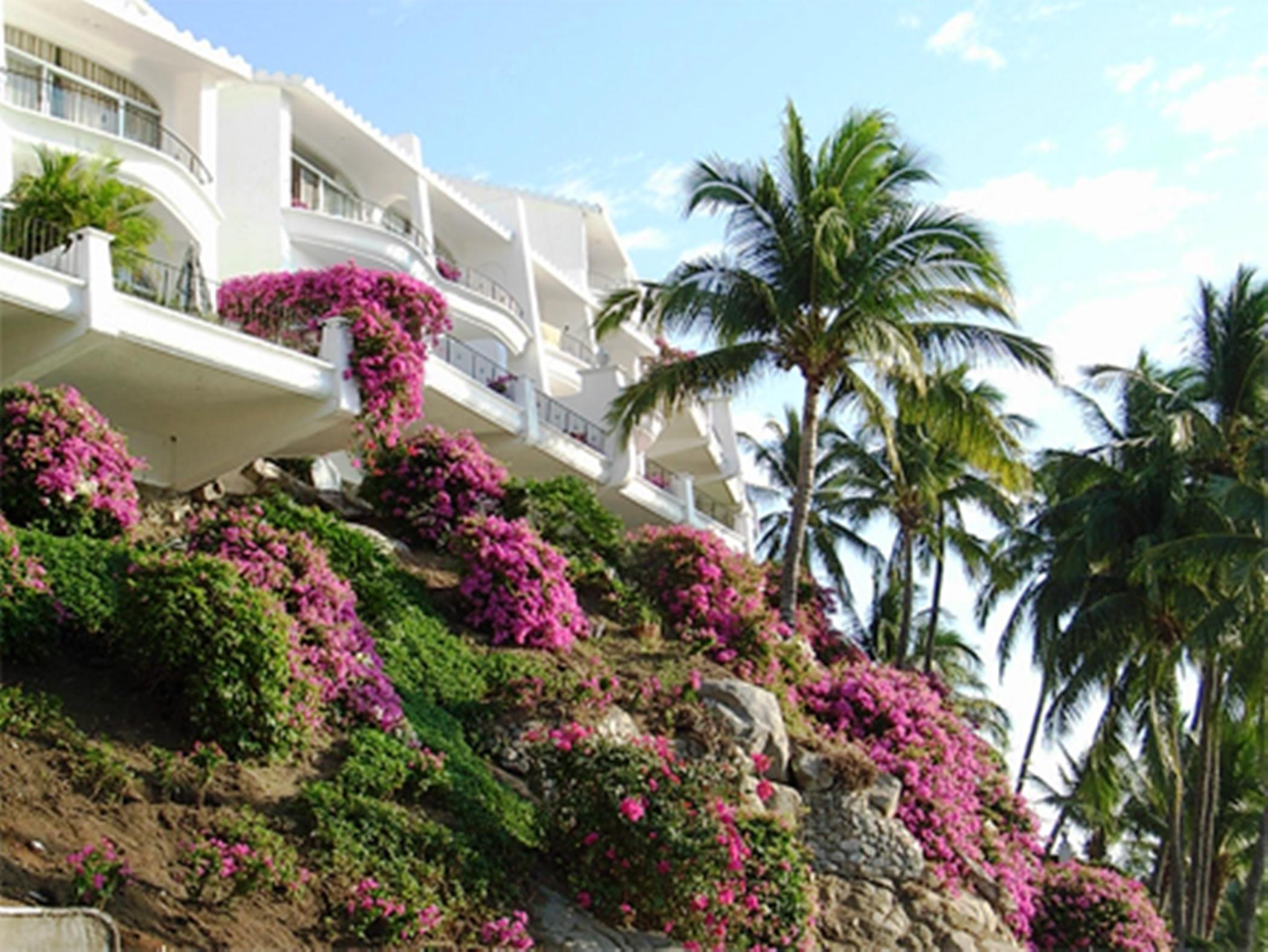 Dolphin Cove Inn Manzanillo Exterior photo